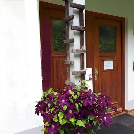 Ferienapartment 38 Sonnenwald Oberlangfurth Εξωτερικό φωτογραφία