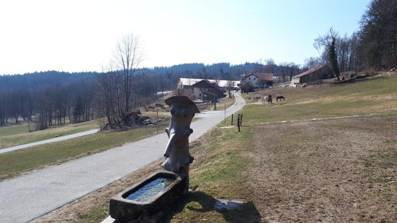 Ferienapartment 38 Sonnenwald Oberlangfurth Εξωτερικό φωτογραφία